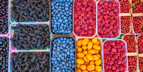 Baskets of berries in a market. mixed berries. bio colorful berries