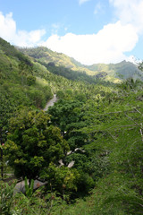 Obraz premium route au milieu de la vallée