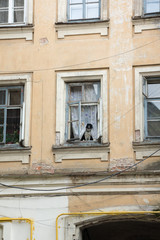 Fototapeta na wymiar dog waiting on window