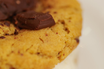 Closeup of Freshly baked cookies on blurred background