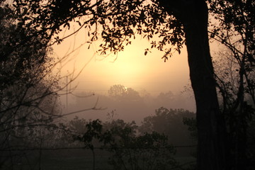 Fototapeta na wymiar Misty Morning, Spring Texas