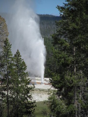 Fototapeta na wymiar Yellowstone Geyser 1