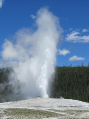 Yellowstone Geyser 2