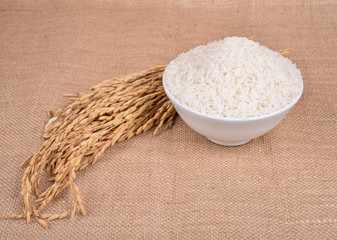 Close up white rice on the wooden plate and rice plant , uncooked raw cereals