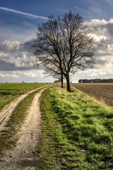 Polna droga © winiar