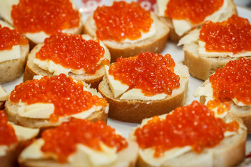 Naklejka na ściany i meble Many small sandwiches with red caviar