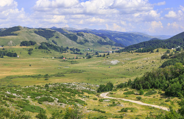 Fototapeta na wymiar Village in a beautiful green valley at the foot of the hills in Montenegro