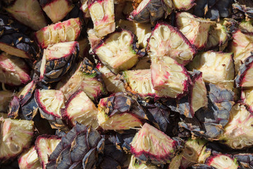 Organic background. Flat  lay of cut pine cones of Pinus Cembra (Swiss stone pine) used for natural medicine