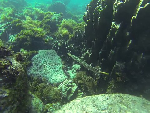 Swimming underwater