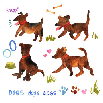 Cute watercolor set with dogs and their things. Illustration wit