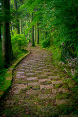 A stoned entrance of Hakone shrine, in the forest in a sunny day in Kyoto, Japan