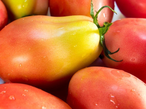 Group of freshness seeda cherry tomatoes