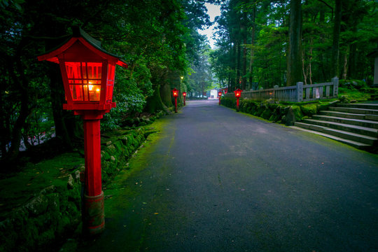 The night view of the approach to the Hakone shrine in a cedar forest. With many red lantern lighted up