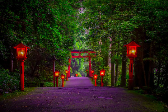 The night view of the approach to the Hakone shrine in a cedar forest. With many red lantern lighted up and a great red torii gate