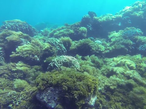 Swimming underwater