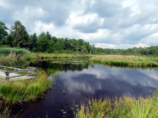 Tobyhanna Pond