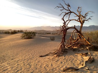 Death Valley Sand Dunes