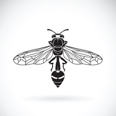 Vector of a wasp on a white background. Insect Animal