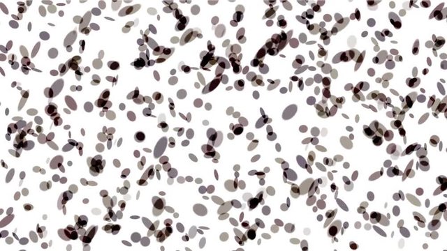 4k Abstract drop water liquid tablets background,soda droplet point dot beans bubble,spores bacteria microbes spa washing backdrop.