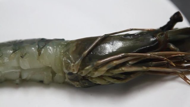 Shrimp on plate