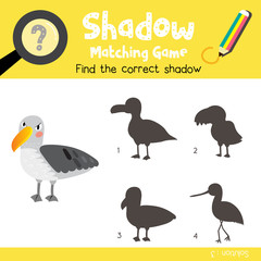 Shadow matching game of albatross animals for preschool kids activity worksheet colorful version. Vector Illustration.