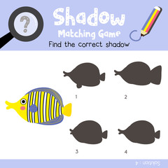 Shadow matching game of Angelfish animals for preschool kids activity worksheet colorful version. Vector Illustration.