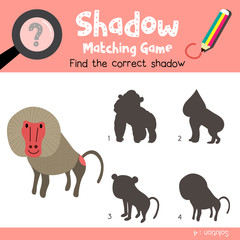 Obraz premium Shadow matching game of Baboon animals for preschool kids activity worksheet colorful version. Vector Illustration.