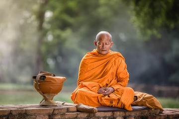 Asian monk meditating under a tree - obrazy, fototapety, plakaty