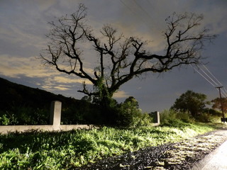 KODAK Digital Still Camera