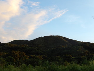 KODAK Digital Still Camera