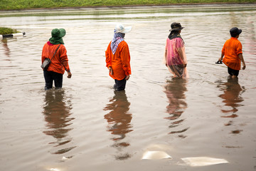 Asian people walking on flooding road during monsoon season
