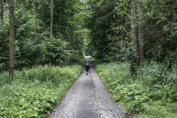 Fototapeta premium Beautiful woman hiker standing on forest trail looking away. Female on hike in nature spooky mystical forests