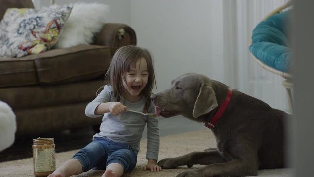 Medium shot of girl feeding peanut butter to dog / Provo, Utah, United States