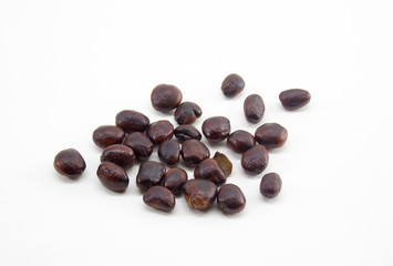 Roast Tamarind seeds on white background. Thailand countryside foods. Culture.