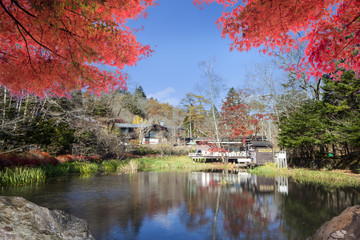 Fototapeta na wymiar Imaging of autumn color of pond, Karuizawa, Nagano, Japan