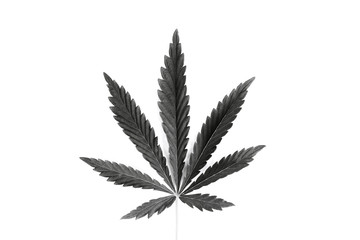 Cannabis leaf  Black isolated on white background. Marijuana silhouette.