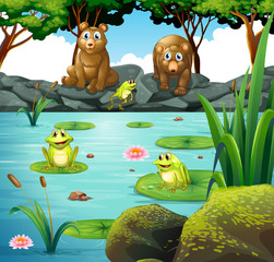 Two bears and three frogs at the pond