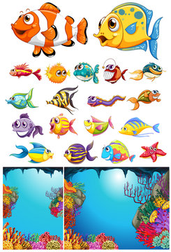 Ocean scene and many sea animals