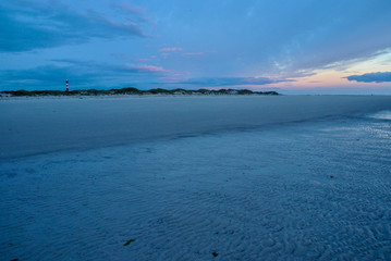 Fototapeta premium a walk along the beach 