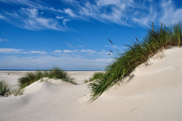 the dunes of amrum - a summer dream day
