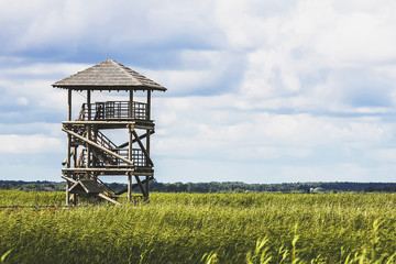 a wooden dock on the lake side of the tree view tower