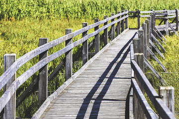 Obraz premium a wooden dock on the lake side of the tree view tower