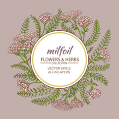 yarrow vector frame © cuttlefish84