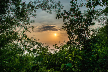 Sun Through Nature window