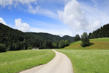 Straße in Naturlandschaft mit Alm