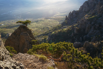 mountain valley lit by the evening sun