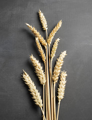Wheat flower on black background. Vertical studio shot.
