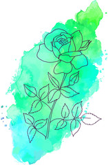 Vector, ink, and watercolor rose flower on teal stain