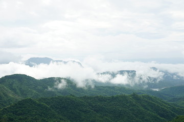 Obraz premium Morning mountain landscape with waves of fog and cloudy sky. Waves of clouds in the mountain peaks covered with coniferous deciduous forests