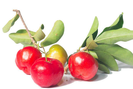 ripe cherries fruit , isolated on white background
